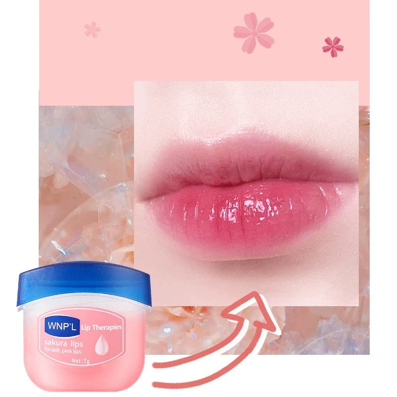 Moisturizing Lip Plumper Collection