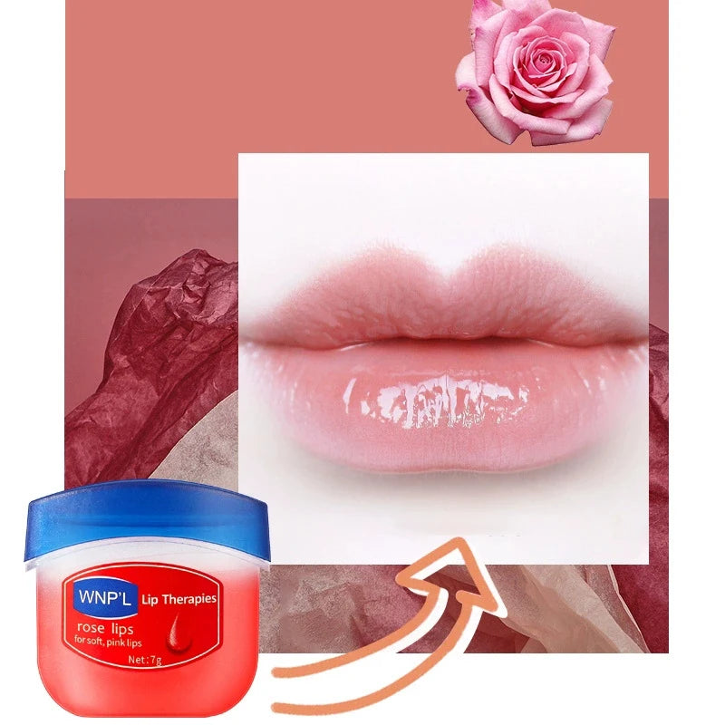 Moisturizing Lip Plumper Collection